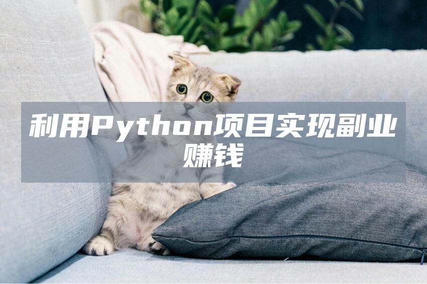 利用Python项目实现副业赚钱