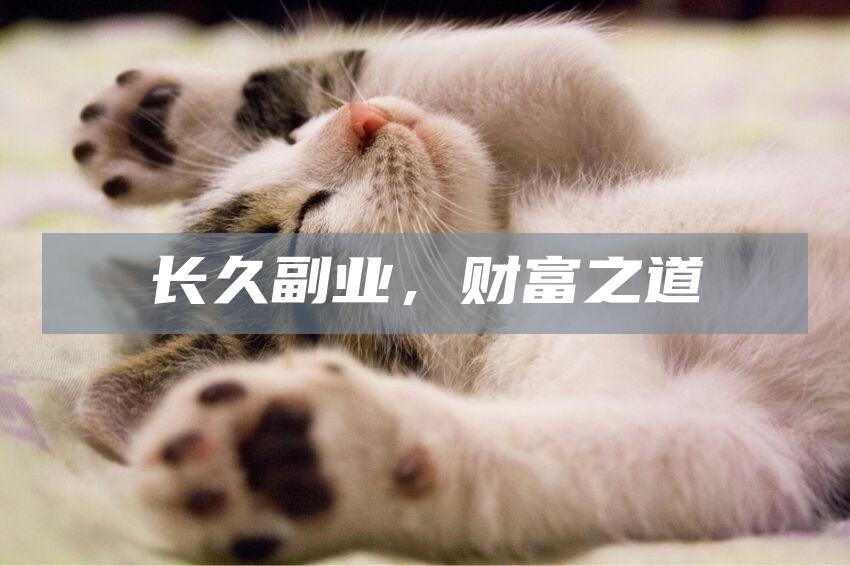 长久副业，财富之道