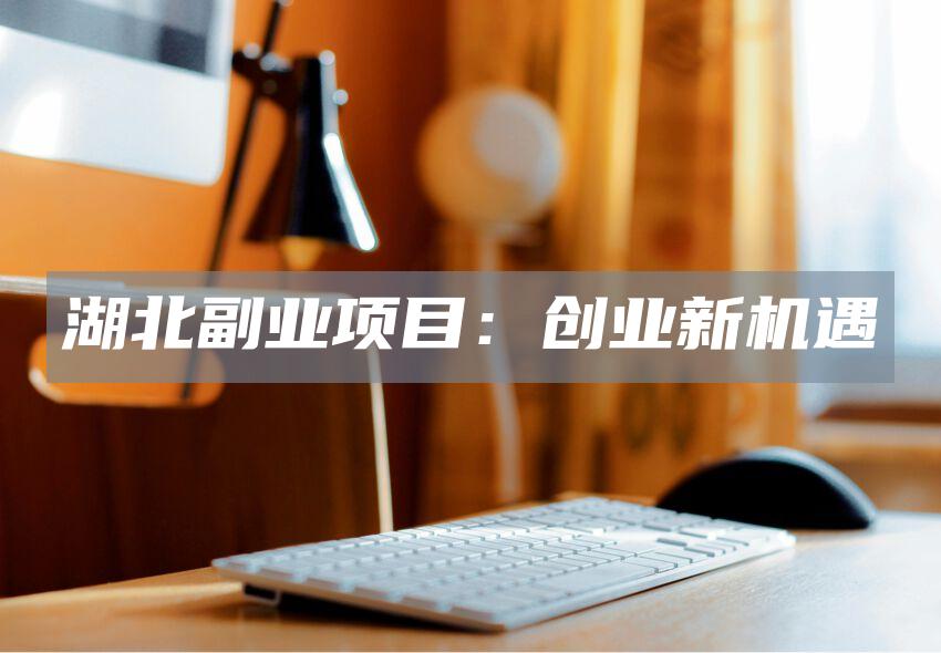 湖北副业项目：创业新机遇