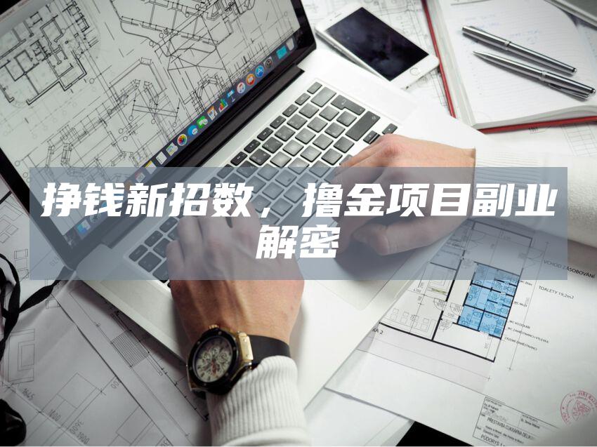 挣钱新招数，撸金项目副业解密