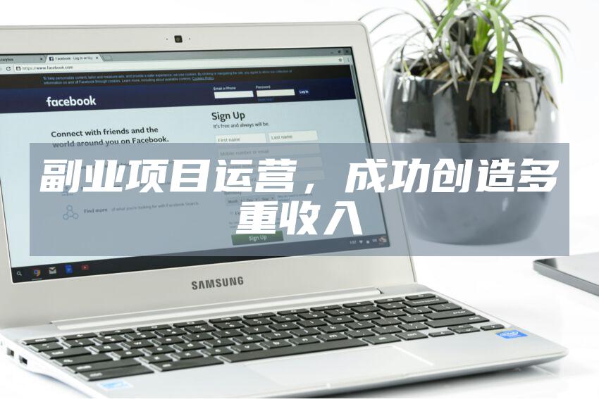 副业项目运营，成功创造多重收入