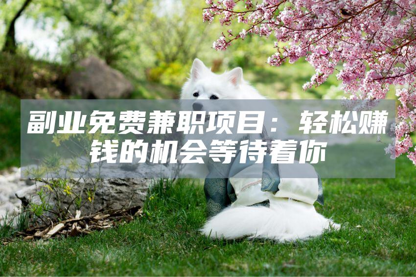 副业免费兼职项目：轻松赚钱的机会等待着你