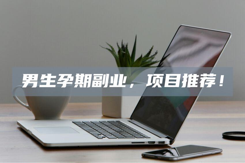 男生孕期副业，项目推荐！