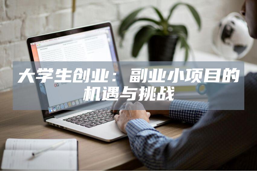 大学生创业：副业小项目的机遇与挑战
