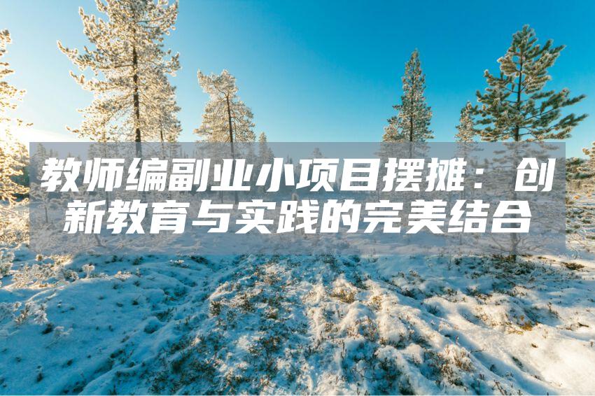 教师编副业小项目摆摊：创新教育与实践的完美结合