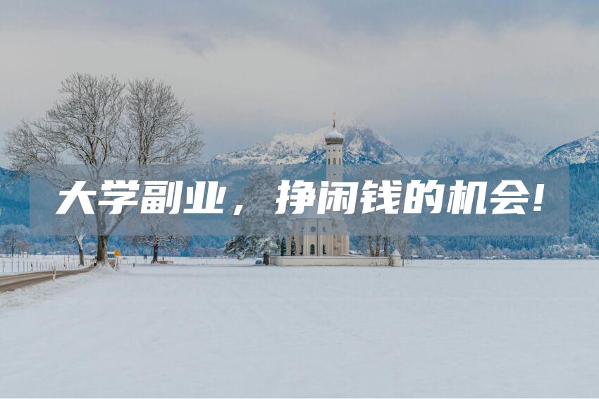 大学副业，挣闲钱的机会!
