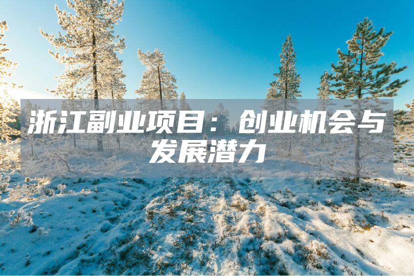浙江副业项目：创业机会与发展潜力