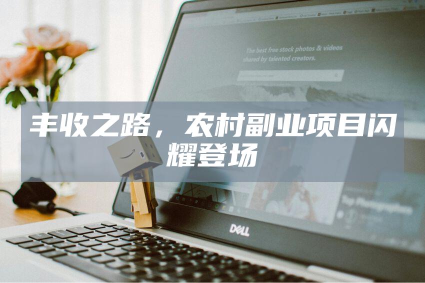 丰收之路，农村副业项目闪耀登场