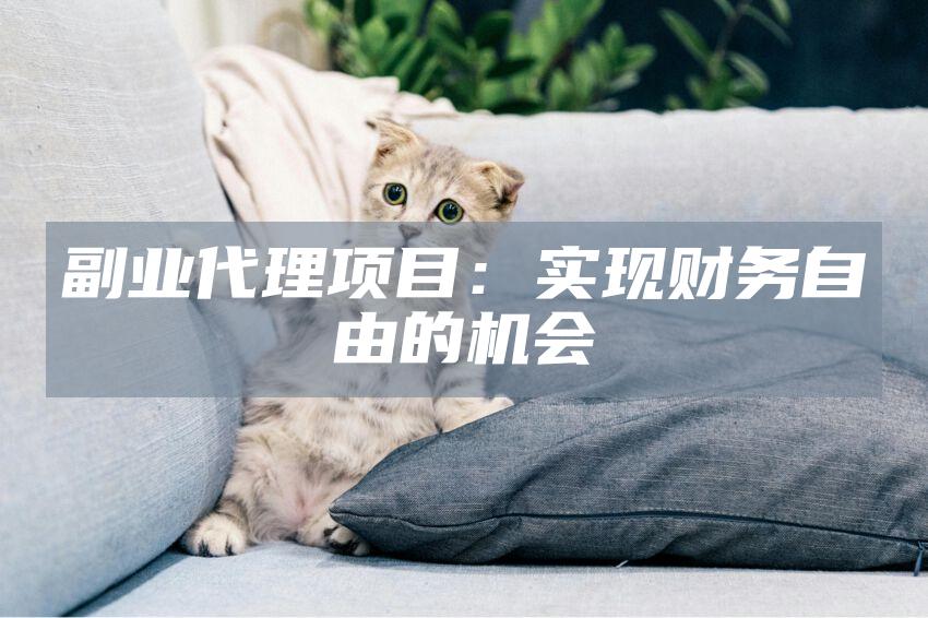 副业代理项目：实现财务自由的机会