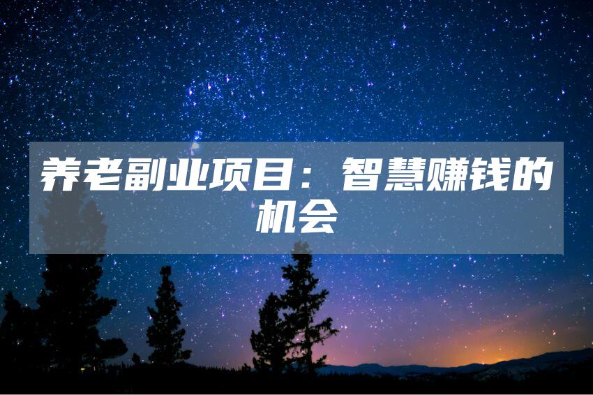 养老副业项目：智慧赚钱的机会