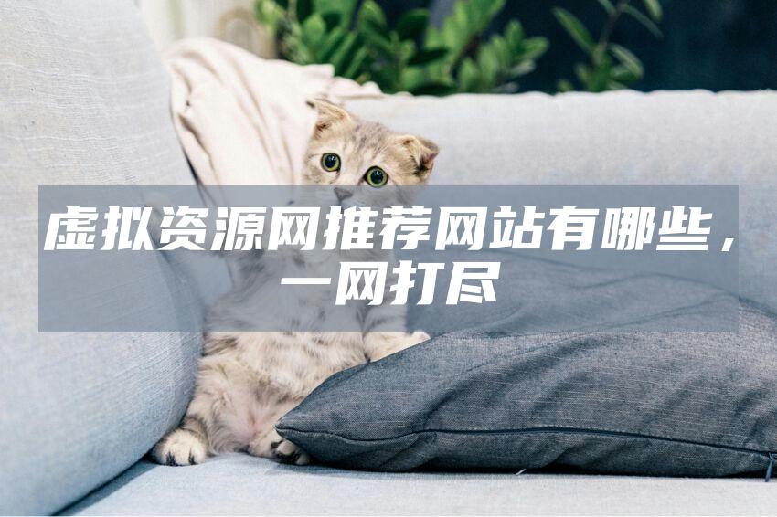 虚拟资源网推荐网站有哪些,一网打尽