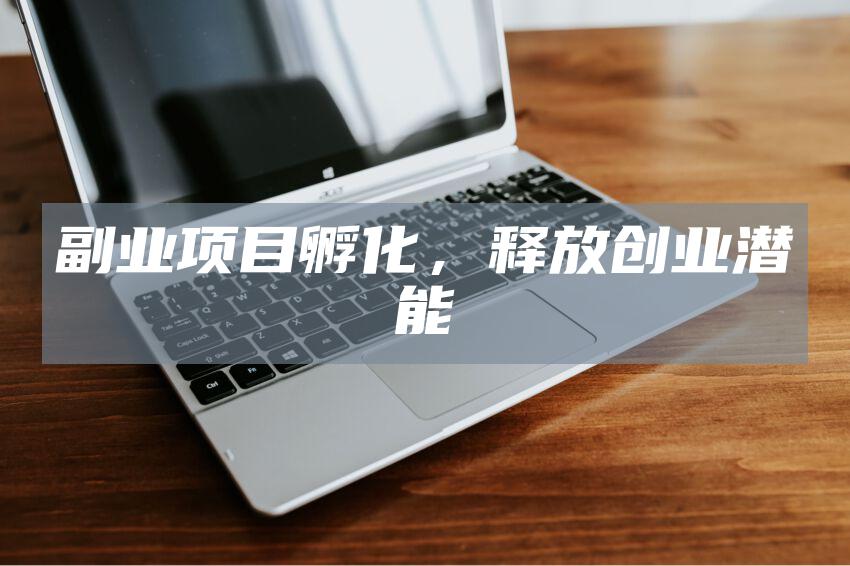 副业项目孵化，释放创业潜能