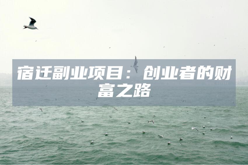 宿迁副业项目：创业者的财富之路