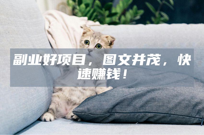 副业好项目，图文并茂，快速赚钱！