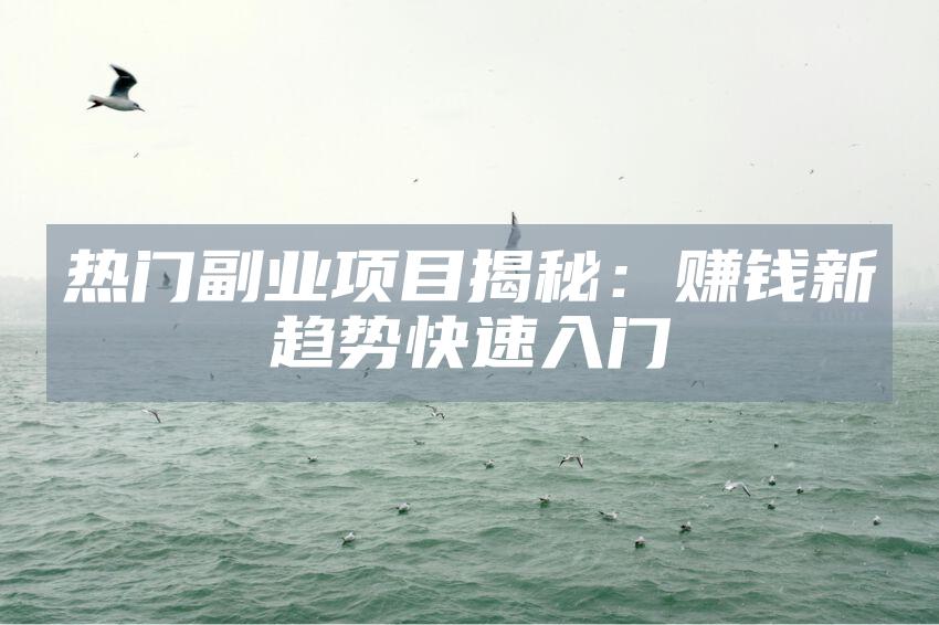 热门副业项目揭秘：赚钱新趋势快速入门