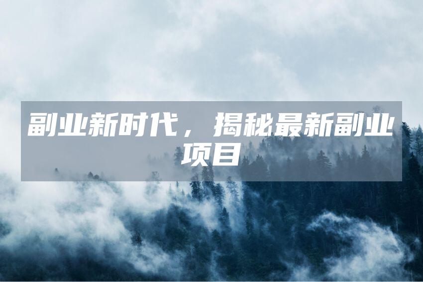 副业新时代，揭秘最新副业项目