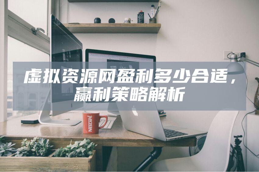 虚拟资源网盈利多少合适，赢利策略解析