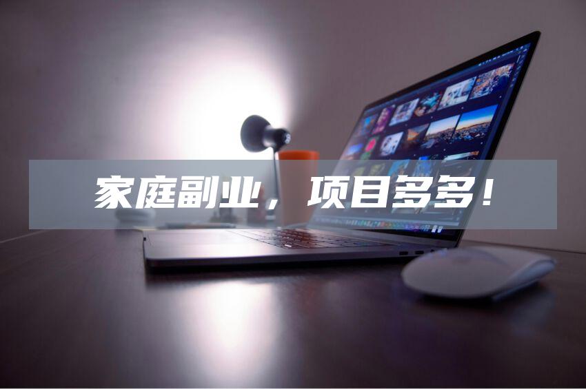 家庭副业，项目多多！