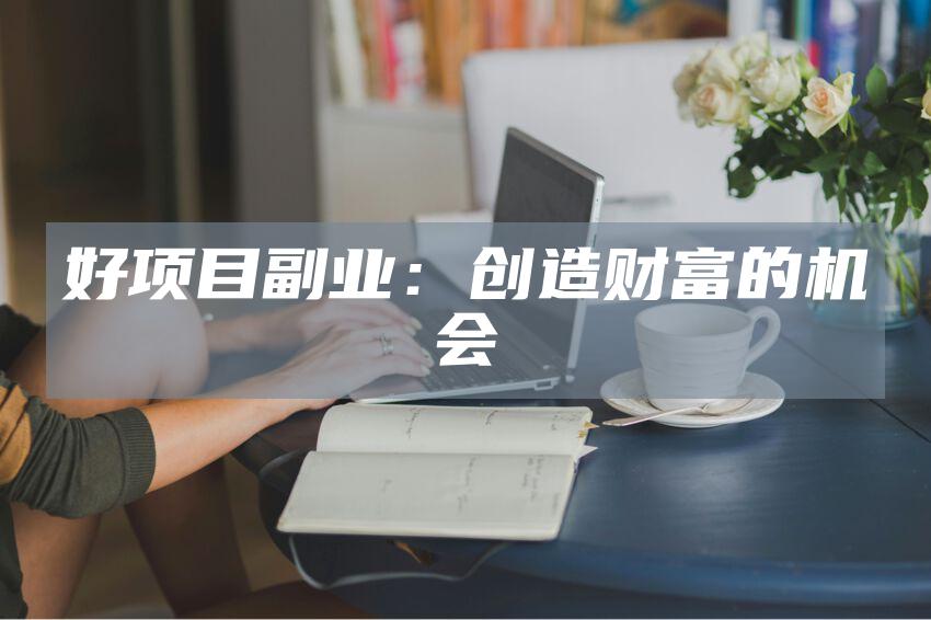 好项目副业：创造财富的机会