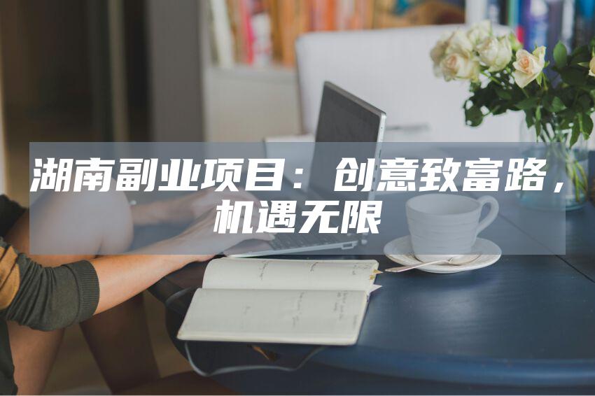 湖南副业项目：创意致富路，机遇无限