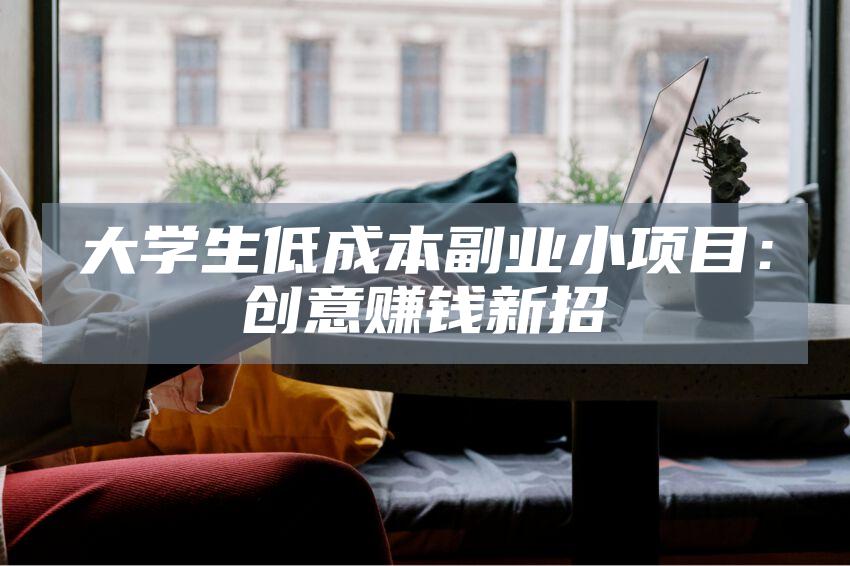 大学生低成本副业小项目：创意赚钱新招