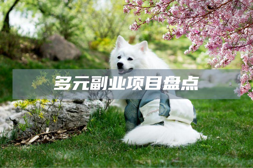 多元副业项目盘点