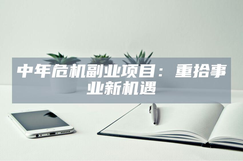 中年危机副业项目：重拾事业新机遇