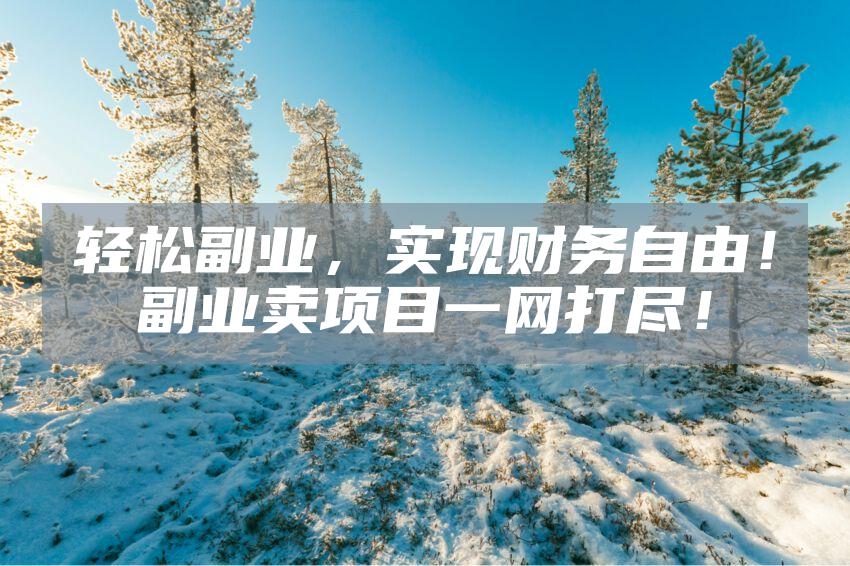 轻松副业，实现财务自由！副业卖项目一网打尽！