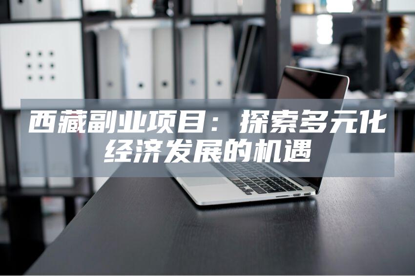 西藏副业项目：探索多元化经济发展的机遇