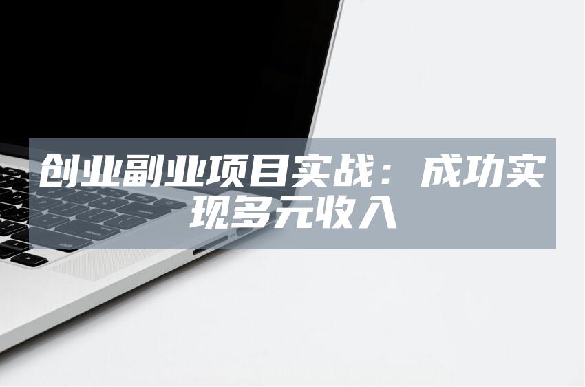 创业副业项目实战：成功实现多元收入