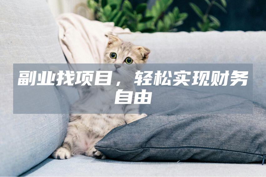 副业找项目，轻松实现财务自由
