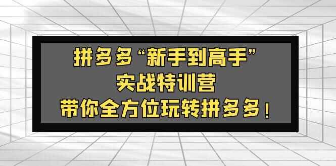 图片[1]-拼多多实战课程：带你零基础全方位玩转拼多多！【价值588】-云轩资源网