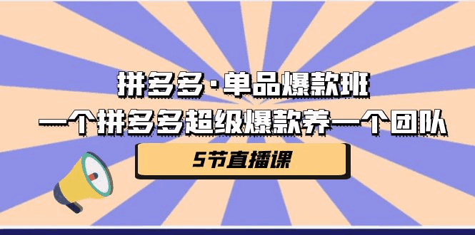 图片[1]-拼多多·单品爆款班，一个拼多多超级爆款养一个团队（5节直播课）-云轩资源网